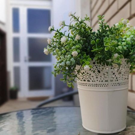 Apartment Laura & Lucija Όσιγιεκ Εξωτερικό φωτογραφία