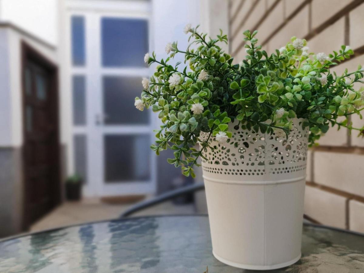 Apartment Laura & Lucija Όσιγιεκ Εξωτερικό φωτογραφία