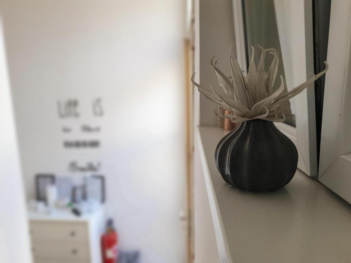 Apartment Laura & Lucija Όσιγιεκ Εξωτερικό φωτογραφία